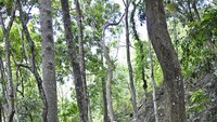 tempat duduk yang sangat cocok untuk menikmati pemandan alam