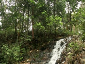 Air Terjun Pongkar