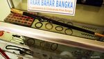 Akar Bahar, Souvenir Hewan Laut Si Penangkal Racun