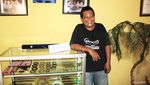 Akar Bahar, Souvenir Hewan Laut Si Penangkal Racun