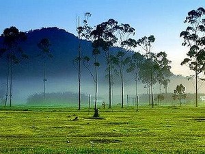 Akhir Pekan Berbalut Udara Segar di Ciwidey