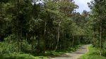 Anggunnya Pesona Kawah Putih, Ciwidey