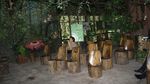 Arboretum Nyarumenteng, Tempat Anak Pelajari Orangutan