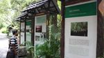 Arboretum Nyarumenteng, Tempat Anak Pelajari Orangutan