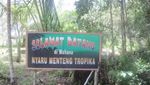 Arboretum Nyarumenteng, Tempat Anak Pelajari Orangutan