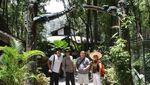 Arboretum Nyarumenteng, Tempat Anak Pelajari Orangutan