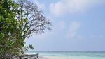 Asyik! Bisa Jalan-jalan Murah ke Karimunjawa