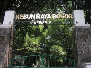 Asyiknya Jalan-Jalan di Kebun Raya Bogor