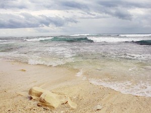 Ayo ke Tanjung Setia