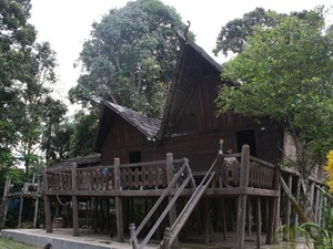 Bakonsu, Saksi Bisu Ritual Potong Kepala