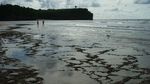 Balangan, si Pantai Kelapa yang Tersembunyi di Bali