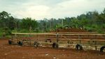 Balapan Motocross di Teluk Wang Sakti