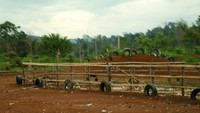 Trek Motocross di Teluk Wang Sakti