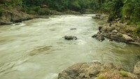 Sungai di Teluk Wang Sakti