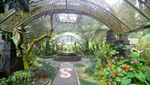 Bali Botanic Garden