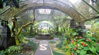 Taman anggrek berisi berbagai jenis anggrek.