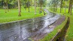 Bali Botanic Garden