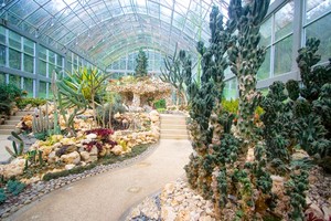 Bali Botanic Garden
