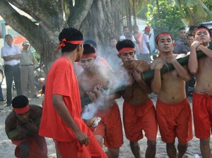 Bambu Gila di Maluku, Adu Kuat Manusia dengan Bambu