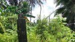 Batu Megalithikum