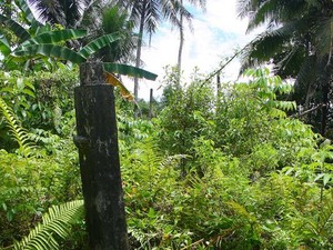 Batu Megalithikum