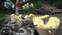 Penambang Belerang yang sedang beristirahat sejenak