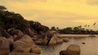 Pantai Tanjung Tinggi. Di sinilah tempat para laskar cilik dari Belitung melebarkan sayap mereka ke layar perak.