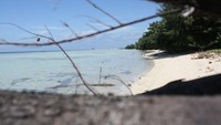 img_2040.jpg