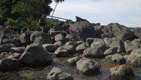 keindahan Pantai Tanjung Ketapang