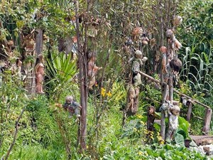Berani Menguji Nyali di Pulau Boneka Meksiko ?