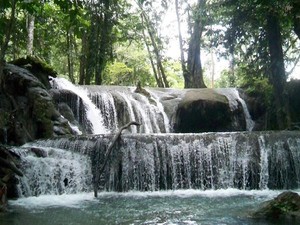Berburu Kesegaran di Air Terjun Salodik