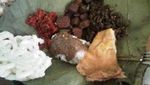 Berburu kuliner Cirebonan yang Lezat