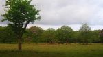 Bercengkerama dengan Taman Nasional Ujung Kulon