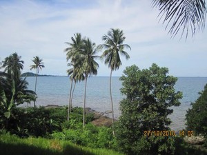 Bercengkrama dengan Sahabat  Baru di Pantai Tanjung Ketapang