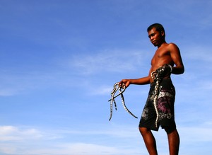 Bercengkrama dengan Ular di Wera
