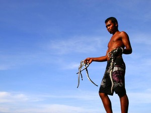 Bercengkrama dengan Ular di Wera