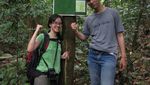 Bercinta dengan Alam Liar di Taman Nasional Gunung Palung