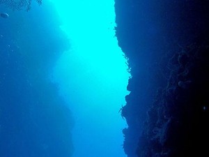 Berenang di Kegelapan Pulau Mansurbabo: Hanya Untuk Sang Pemberani