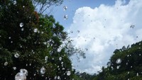 Arungi Sungai Maiting dan Nikmati Serunya