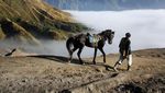 Berjalan Menembus Kabut Bromo