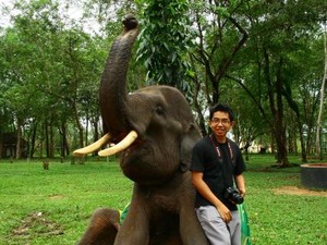 Berkenalan dengan Gajah-Gajah Way Kambas