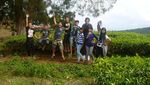 Berlibur di Kebun Teh Kerinci
