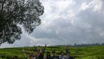 Berlibur di Kebun Teh Kerinci