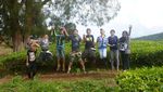 Berlibur di Kebun Teh Kerinci