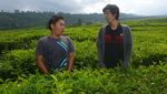 Berlibur di Kebun Teh Kerinci