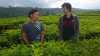 Panorama Kebun Teh