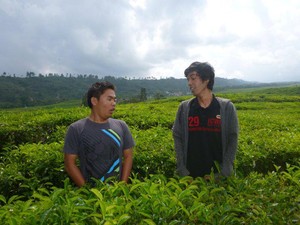 Berlibur di Kebun Teh Kerinci