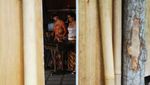 Bermain Angklung yang Mendunia di Saung Angklung Udjo
