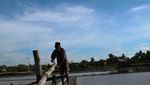 Bertani di Pulau Garam