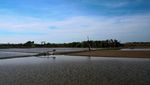 Bertani di Pulau Garam